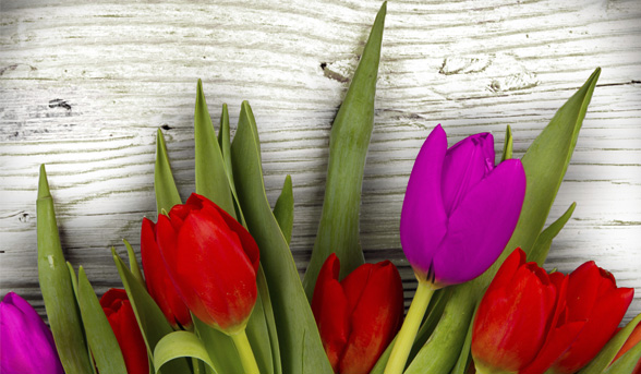 The ultimate Mother’s Day offer