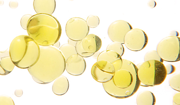 BB creams for oily skin