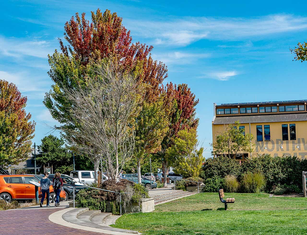 Red and orange hues mean change is coming as shown on these trees on Water Street next to Pope Marine Park in downtown Port Townsend. (Steve Mullensky/for Peninsula Daily News)