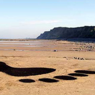 Eco-nomical beauty – page 2