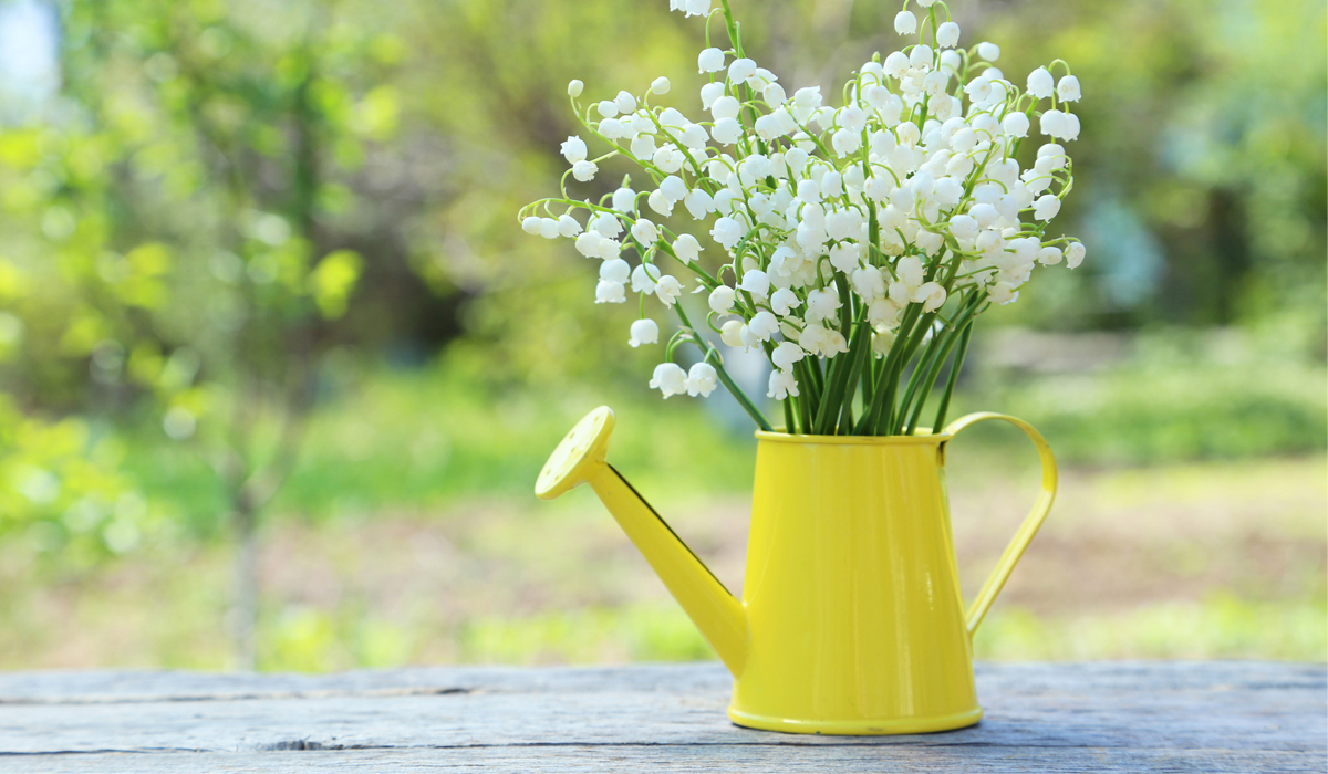 4 lily of the valley perfumes you’ll fall in love with