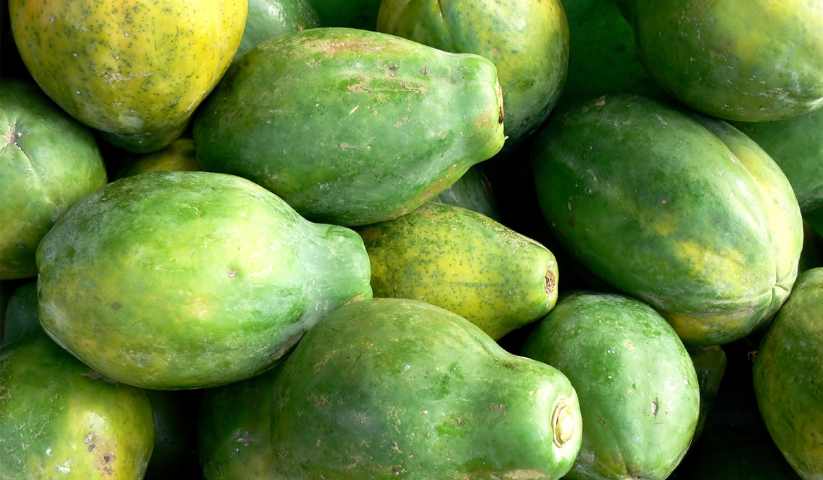 Paw paw ointment: the humble skin saviour