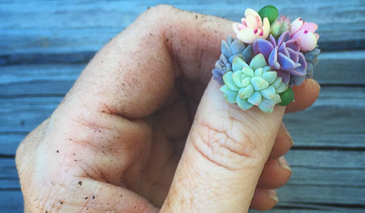 Succulent nail art is the latest Instagram trend