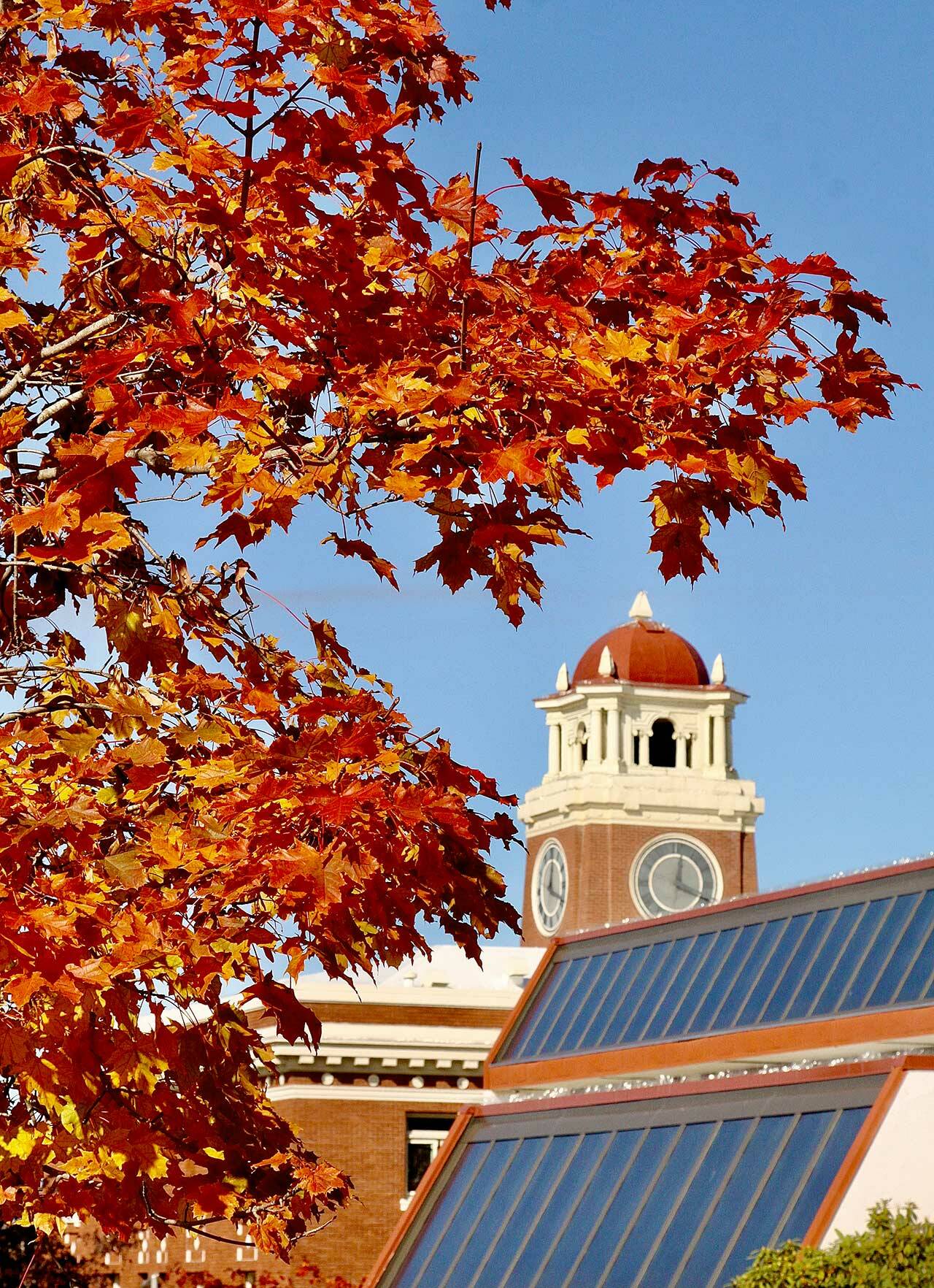 Fall colors pop out in their full glory, framing the Clallam County Courthouse clock in the background. (Dave Logan/for Peninsula Daily News)