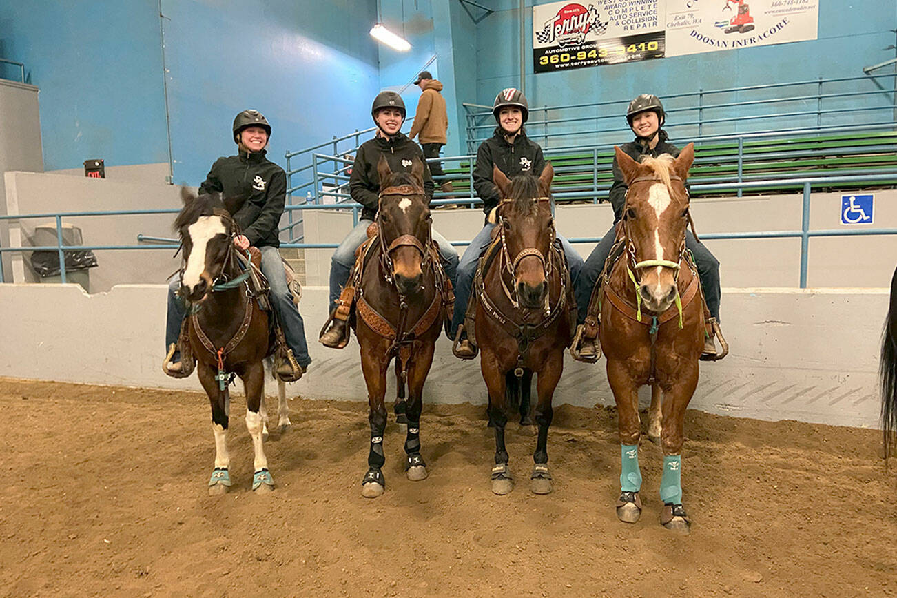 All photos by Katie Newton

 

Out of small sizes come great teams: With just six competing member’s between them Sequim and Port Angeles WAHSET teams this year, both were allowed to partner together on team events. Maggie Anderson , left,  Libby Swanberg, Haley Bishop,  Sydney Hutton wait for the cow sorting competition at Grays Harbor Fairgrounds, Jan. 21-23.