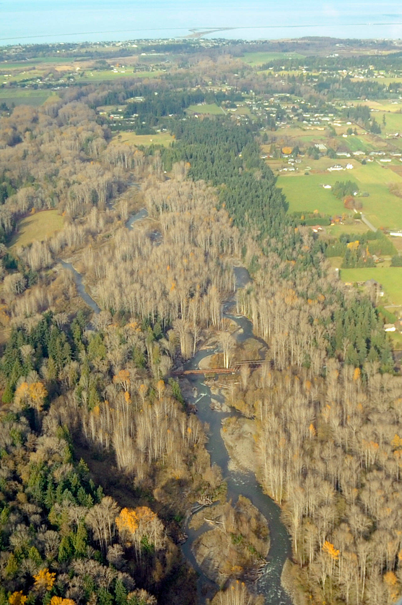 The Jamestown S’Klallam Tribe’s staff will receive authority to grant, deny or waive certifications of proposed federal licenses or permits that may discharge into waters of the United States once its plan is approved by the Environmental Protection Agency. This applies to its reservation and trust lands, such as surface waters on almost 645 acres including the Dungeness River, seen here in November 2020. (Michael Dashiell/Olympic Peninsula News Group)
