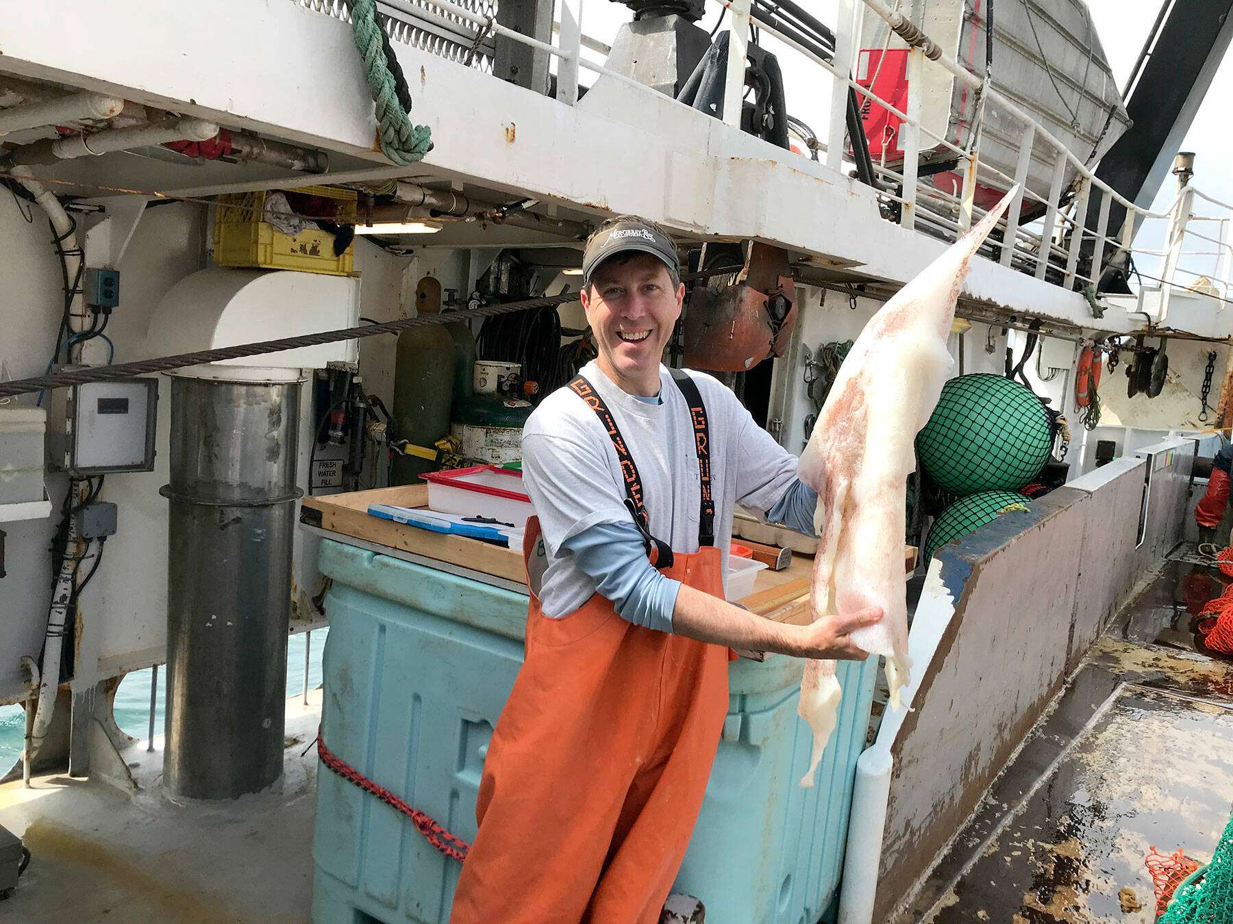 Humboldt squid brian burke