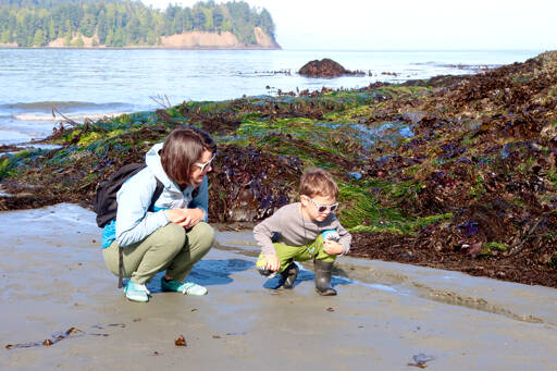 Lyle Pena, 6, and his mom Heidi Reden from Olympia planned their vacation around the low tide at Tongue Point west of Port Angeles on Wednesday morning. The tide was almost at minus 4 feet. Pena was interested in the little crabs he found scurrying around. (Dave Logan/for Peninsula Daily News)