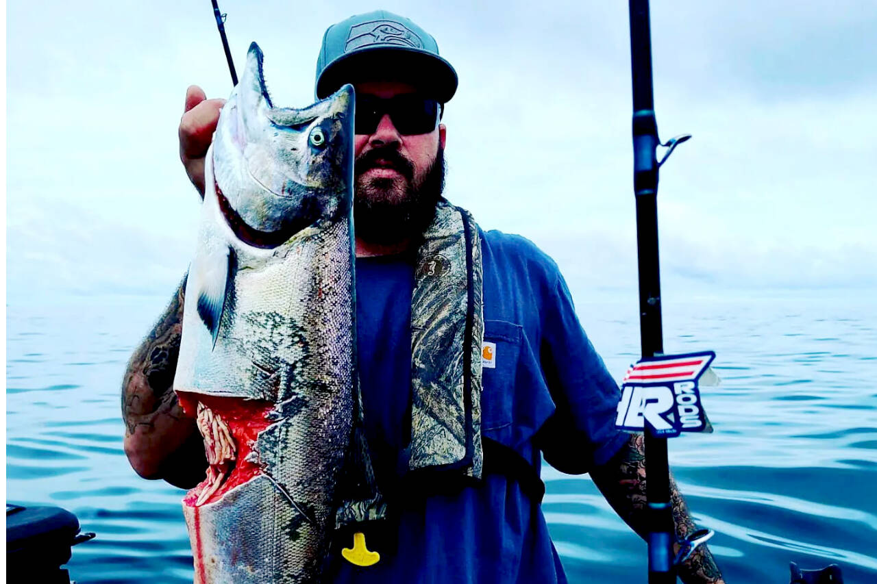Angler Rob Robinson of Double R Squid Jigs said a thresher shark took this bite out of his hooked king before he could bring it on board. Robinson was fishing off La Push with Outlander Charters.