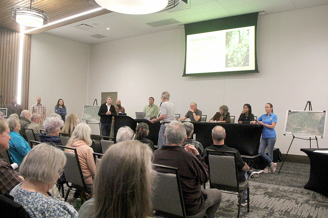 Photo by Karen Griffiths

 

 

Cutline: A crowded room greeted  Washington State Park’s Miller Peninsula planners when they hosted an Open House Tuesday in an event room at the 7-Cedars Hotel.  Local residence were there to voice their concerns and opposition to the State’s plan to turn the well-used multi-use community park set in its natural surroundings into a recreational tourist attraction with 127 camp sites — some large enough for big Recreational Vehicles — and  even a lodge style hotel.