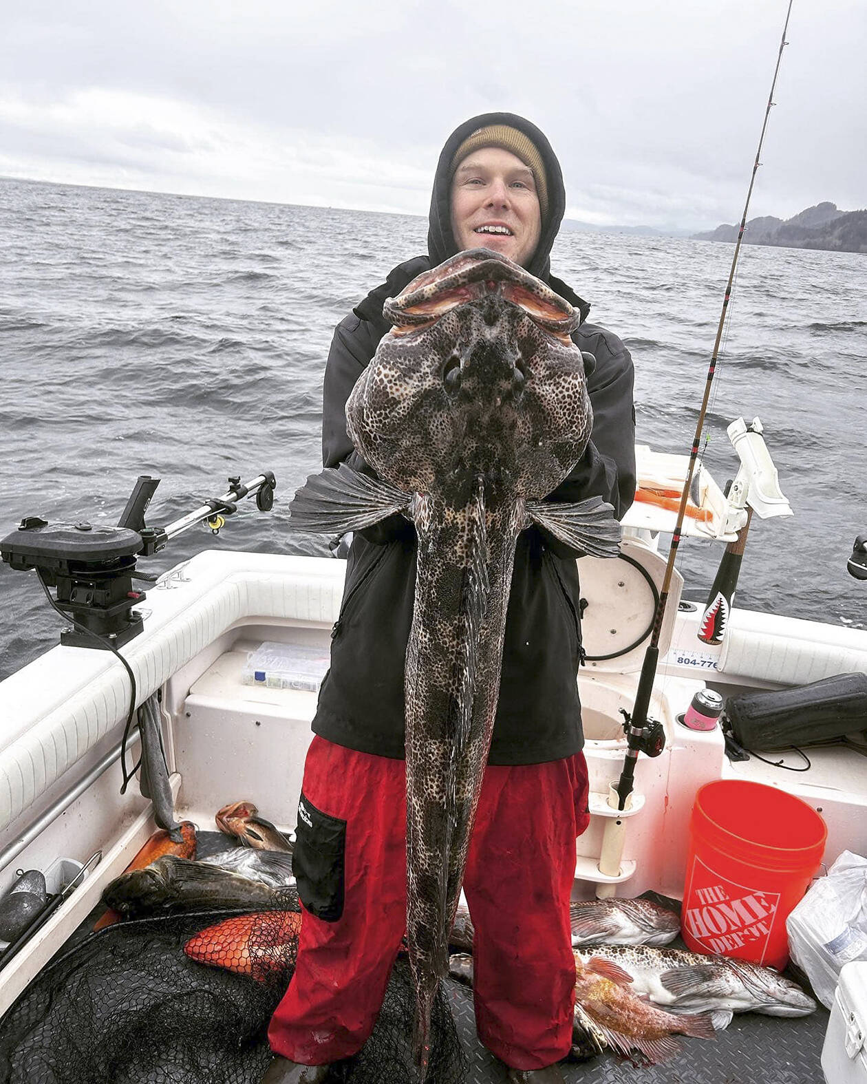 Angler Joseph Ebsworth landed this good-sized lingcod while fishing out of Neah Bay on the lingcod and bottomfish opener last Saturday.
