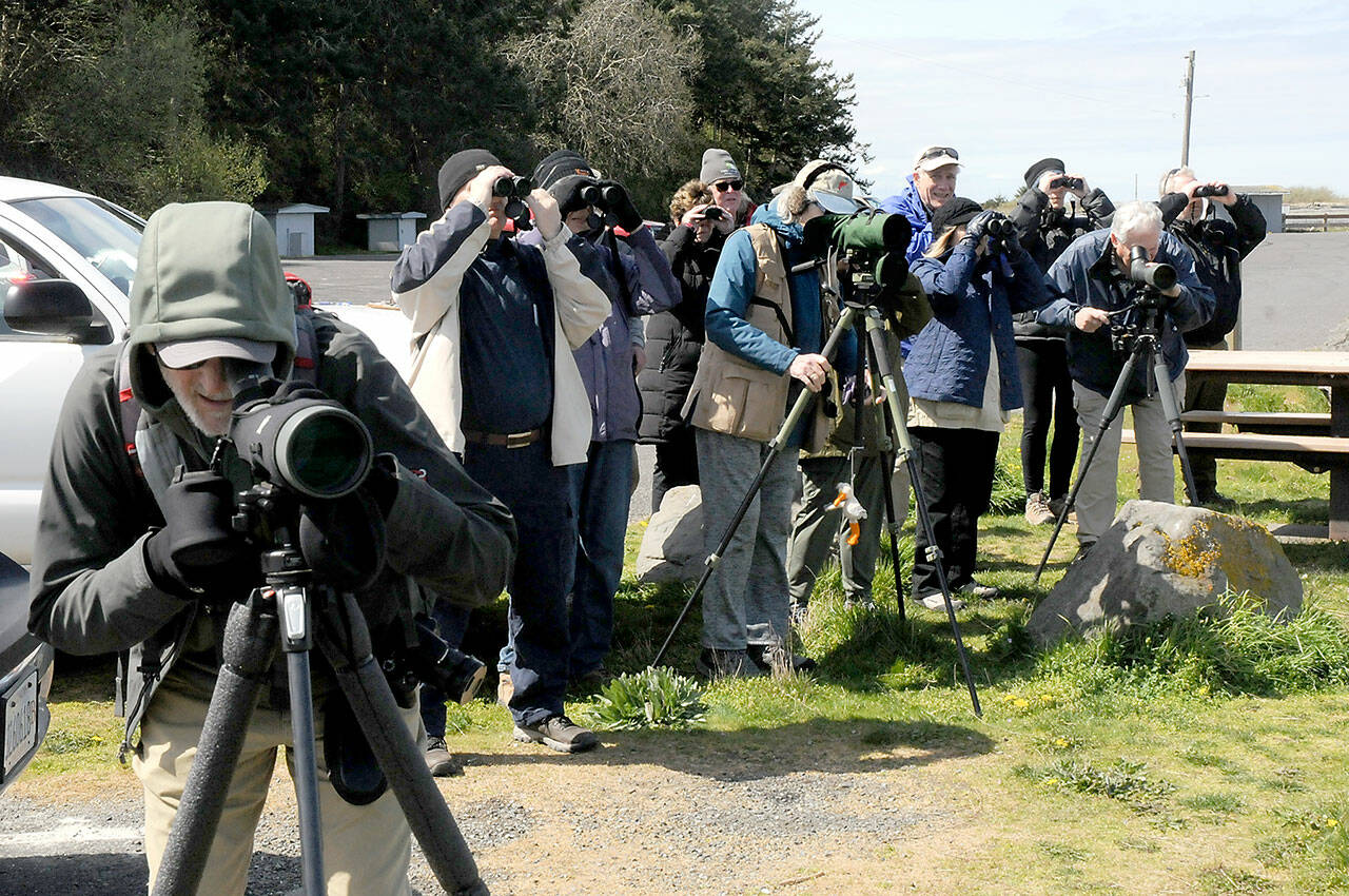 Bird watchers peer out over the waters of Dungeness Bay from Dungeness Landing County Park north of Sequim on Friday in search of waterfowl as part of Olympic BirdFest 2023. The annual birding event draws avian enthusiasts from across the region who are attracted by the diversity of birds across the North Olympic Peninsula. (KEITH THORPE/PENINSULA DAILY NEWS)