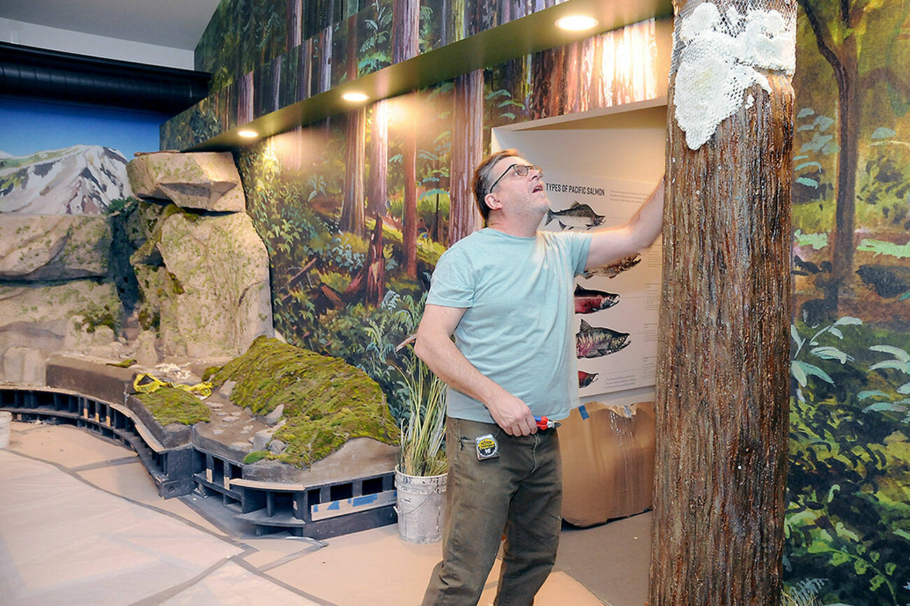 Hal Peterson, a co-owner of Ballard-based Mach 2 Arts, works on a fabricated tree on Wednesday that will become part of a mountains-to-sea diorama of regional landscapes at the Dungeness River Nature Center at Railroad Bridge Park in Sequim. (Keith Thorpe/Peninsula Daily News)