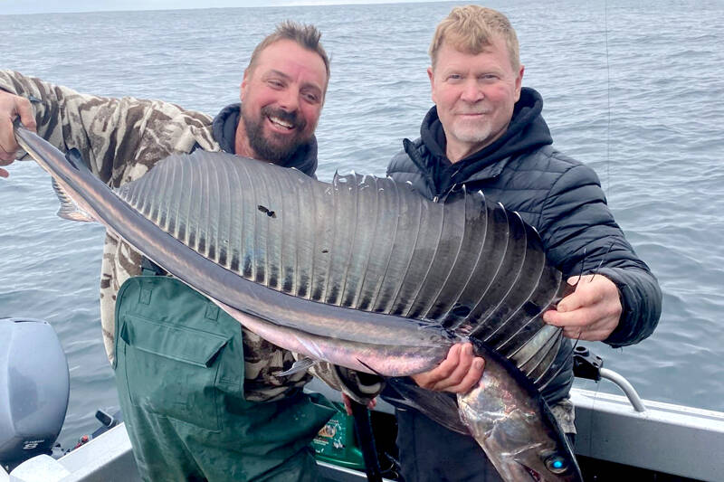 Mukilteo angler Alex Malysheff, right, caught and released this lancetfish while halibut fishing off Neah Bay. A number of lancetfish, usually a tropical species, have washed up on West Coast shores in recent weeks.
