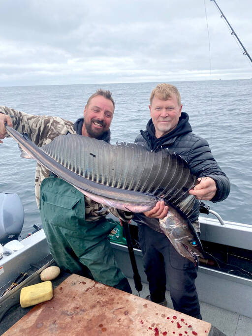 Mukilteo angler Alex Malysheff, right, caught and released this lancetfish while halibut fishing off Neah Bay. A number of lancetfish, usually a tropical species, have washed up on West Coast shores in recent weeks.