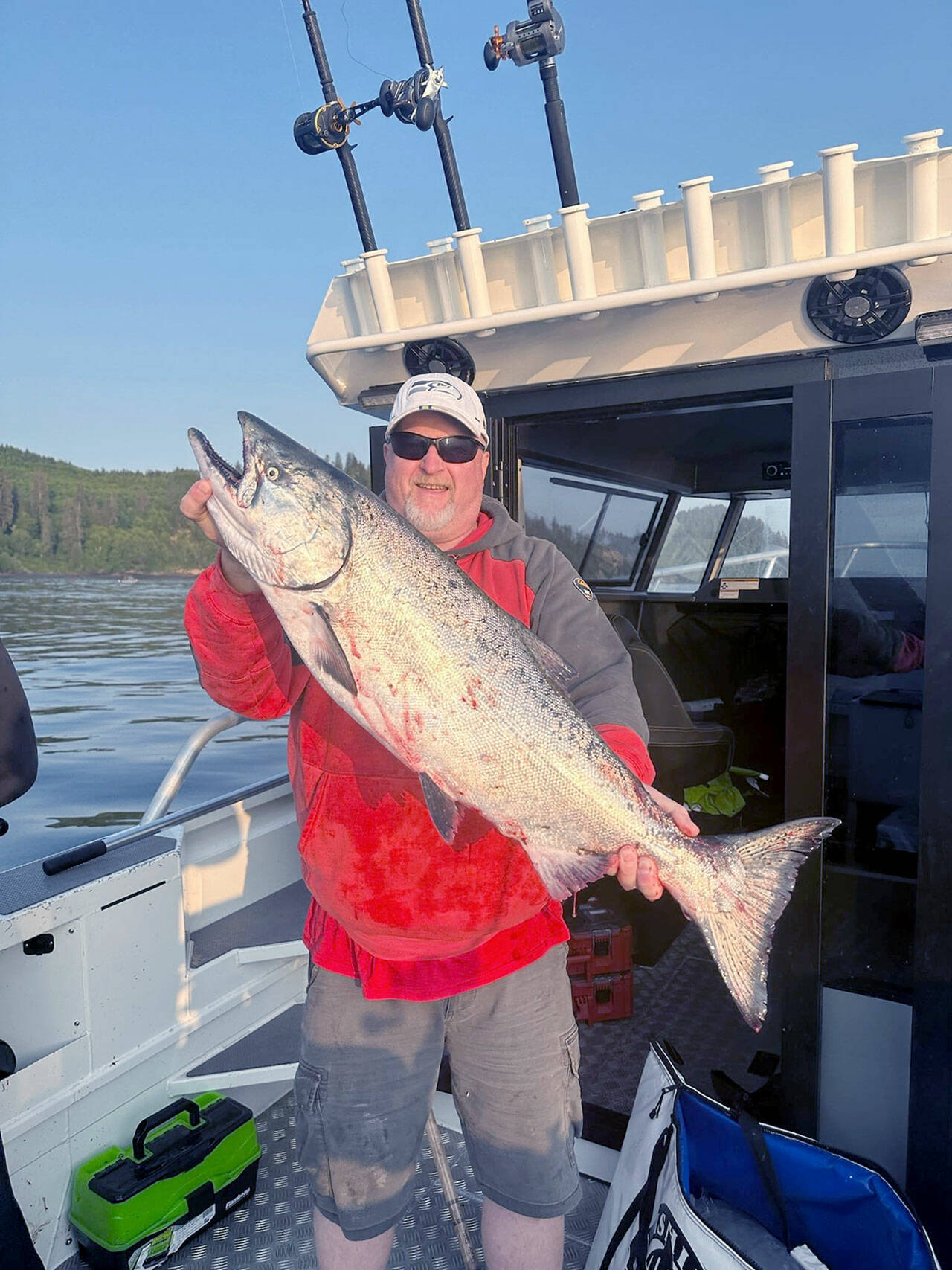 Craig Velthuysen caught this hatchery chinook estimated around 17 pounds with a hoochie recently on an early morning bite off Sekiu.