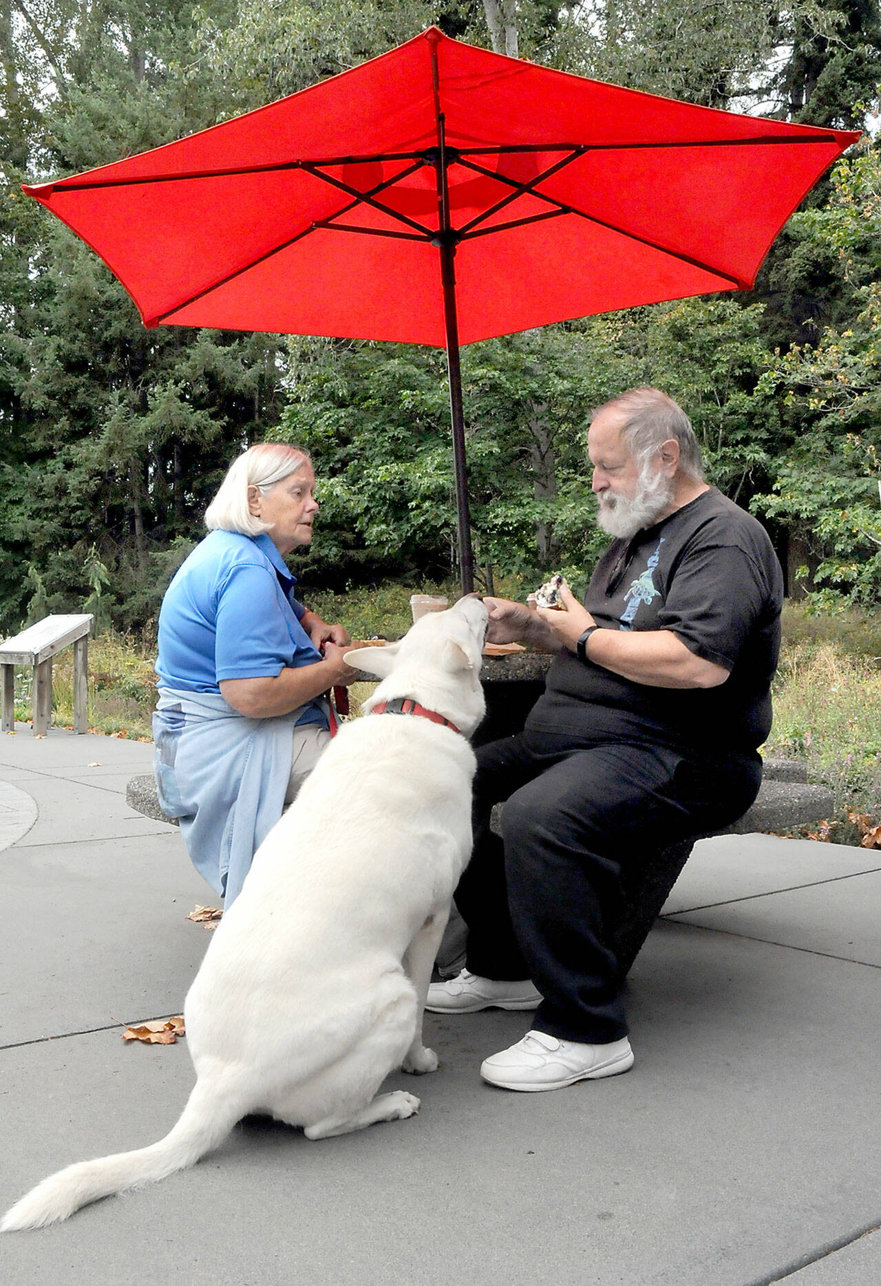 Lin Norris, left, watches as her husband George Norris feeds a tidbit to their rescued German shepherd, Storm King, on the patio of the Dungeness River Nature Center in Sequim.
The trio were on an outing to Railroad Bridge Park with a stop for coffee and snacks at the center. (KEITH THORPE/PENINSULA DAILY NEWS)
