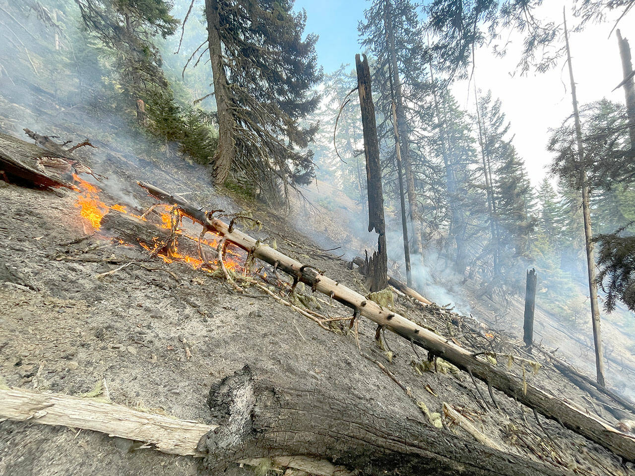 Firefighters battle flames at Hurricane Ridge on steep terrain. (Olympic National Park)