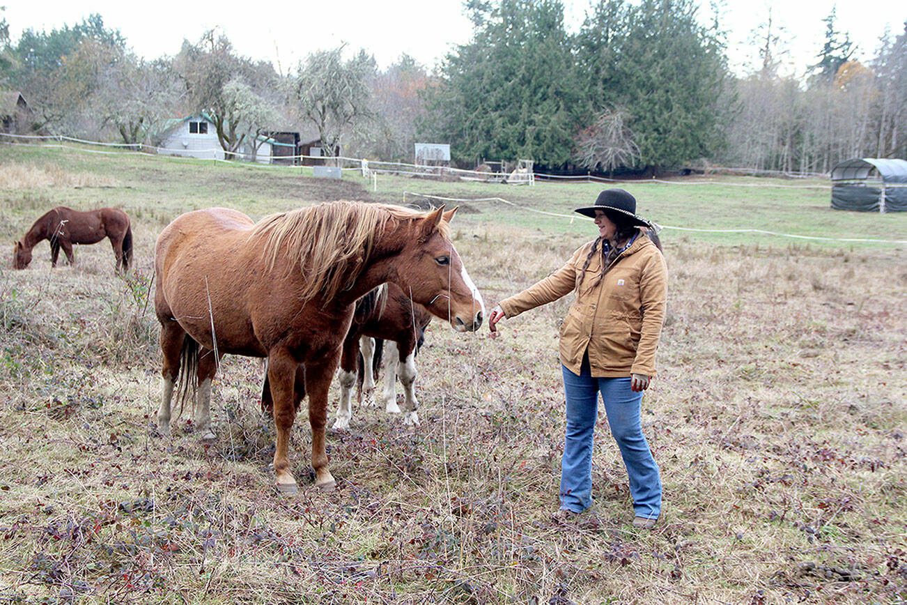 Photo by Karen Griffiths
Still a wild mustang who, overall, dislikes being touched, Freya offers her nose for Vanessa to touch.