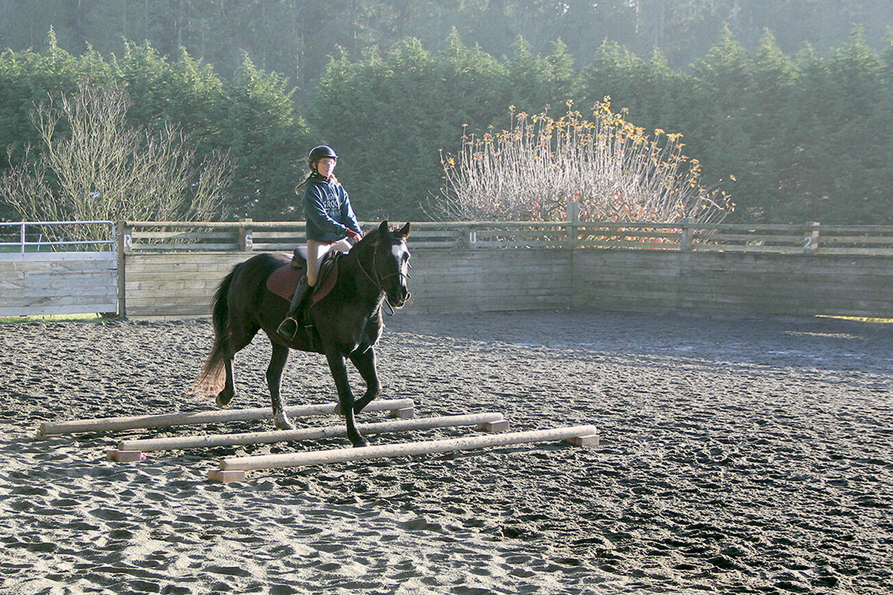 Photo by Karen Griffiths

Cutline: During a lesson in Freedom Farm’s indoor arena Hadley Wolslegel goes over a set of cavetti under the guidance of farm owner and instructor Mary Gallagher. Working over  cavetti, which can be set up with varying heights and poles, helps the rider learn how to maintain a sense of timing, balance and form, and aids the rider in developing the ability to evaluate distance and measuring the horse’s length of step —shortening or lengthening —when going over jumps.