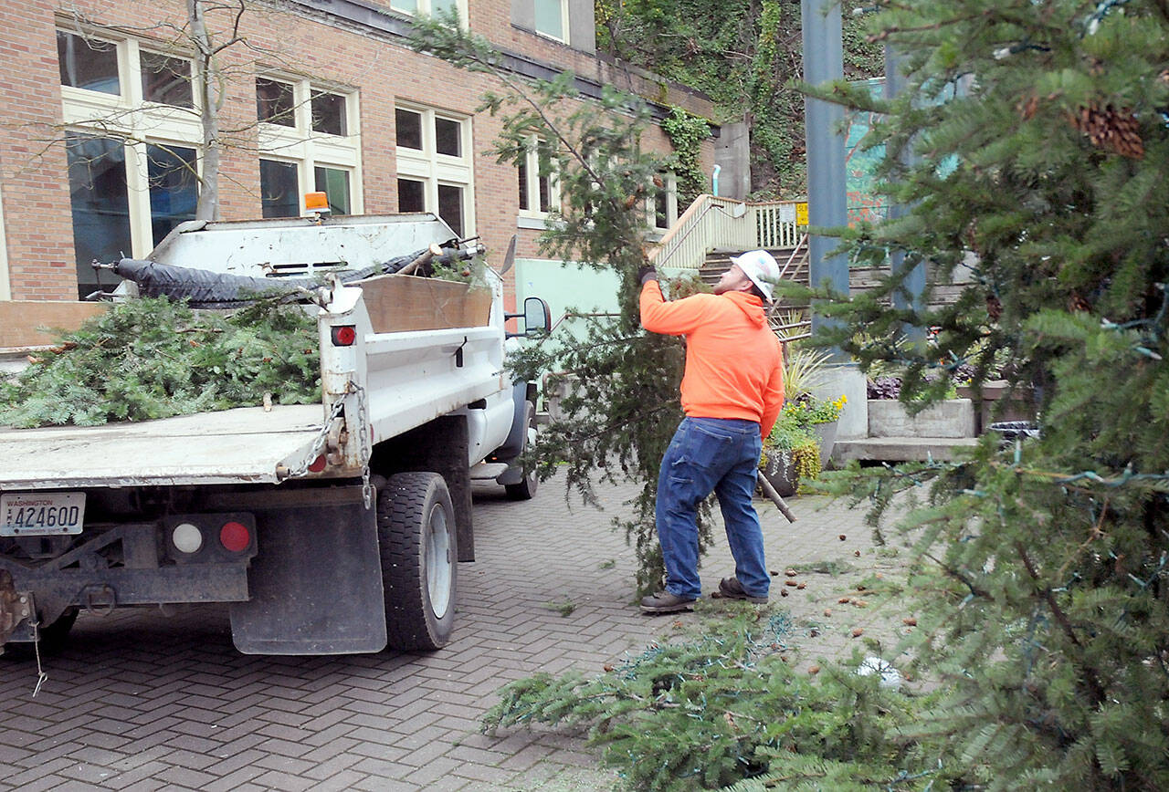 Port Angeles Parks and Recreation Department worker Lukas Cox tosses a limb from the downtown Port Angeles Christmas tree into a truck for eventual recycling as the tree is dismantled on Tuesday. The tree, donated by the Port of Port Angeles, illuminated downtown at the Conrad Dyar Memorial Fountain since it was lit on Thanksgiving weekend. (Keith Thorpe/Peninsula Daily News)