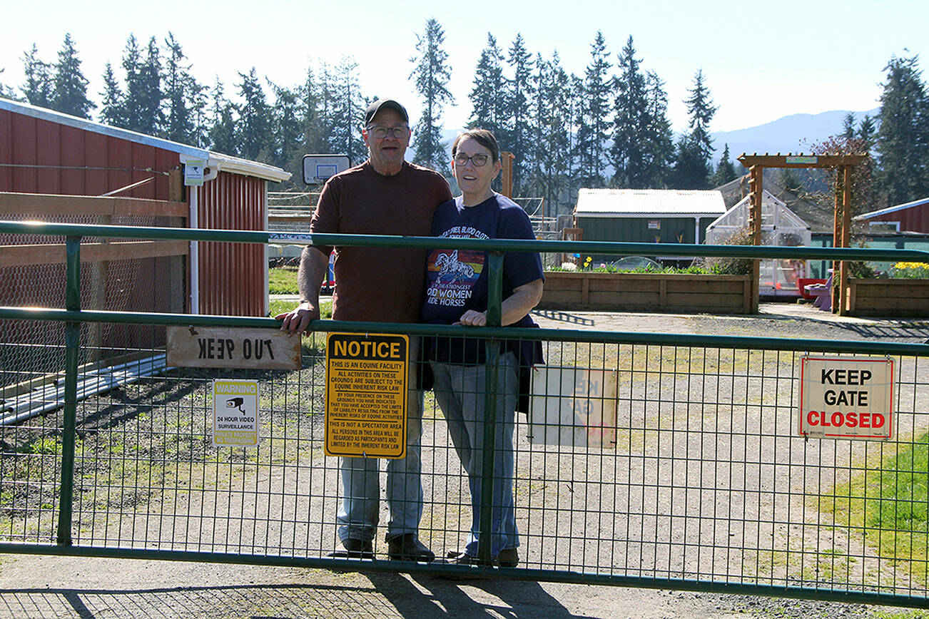 Deb Pavlich-Boaz and her husband Tony Boaz say strangers stop to feed her horses and it’s endangering their health. They care for aging equines and others with special dietary needs at their home off Old Olympic Highway in Agnew. (Karen Griffiths/for Peninsula Daily News)