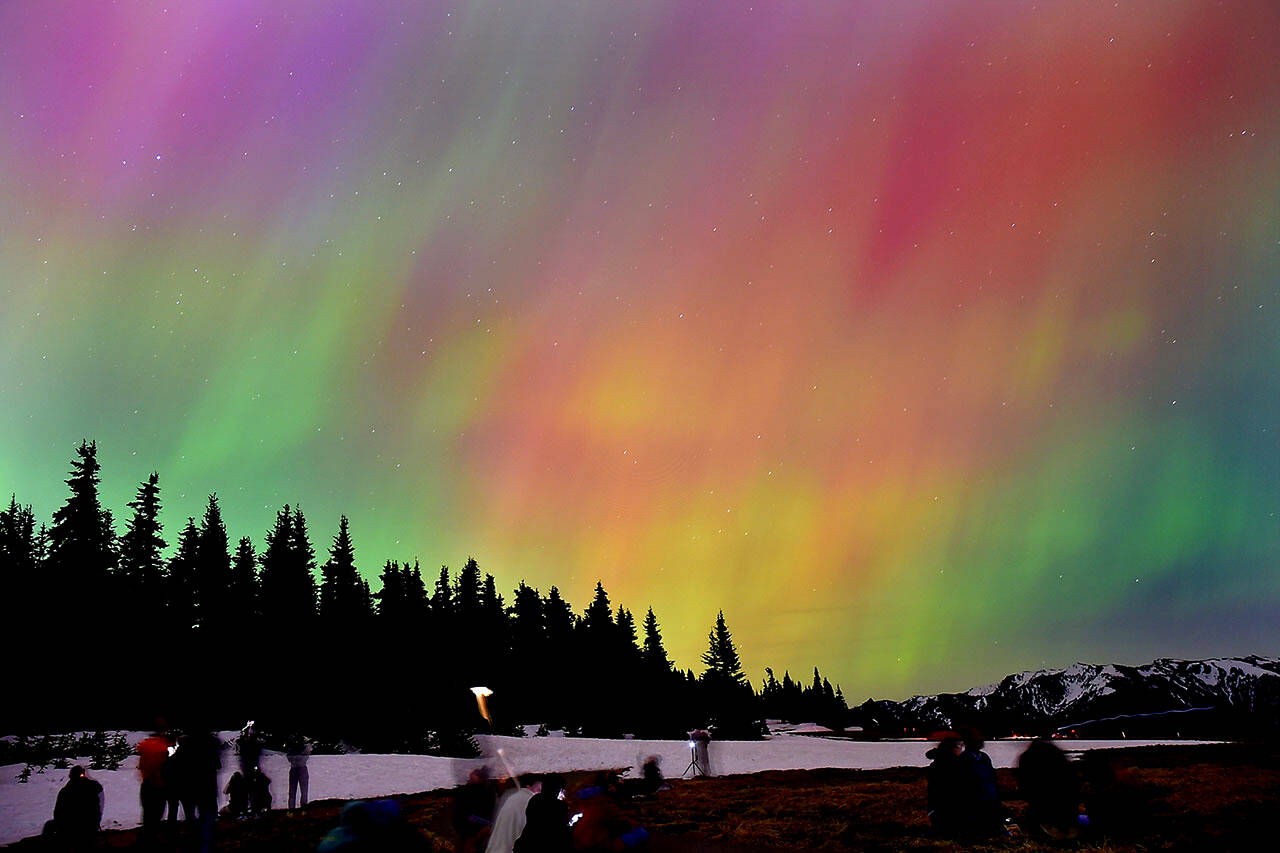The aurora borealis, also known as the Northern Lights, illuminate the sky on Friday night into Saturday morning at Hurricane Ridge in Olympic National Park south of Port Angeles. A G5 magnetic storm created conditions for the aurora to be visible to large portions of North America, including hundreds of people who ventured to the ridge to watch the geomagnetic spectacle. (Keith Thorpe/Peninsula Daily News)