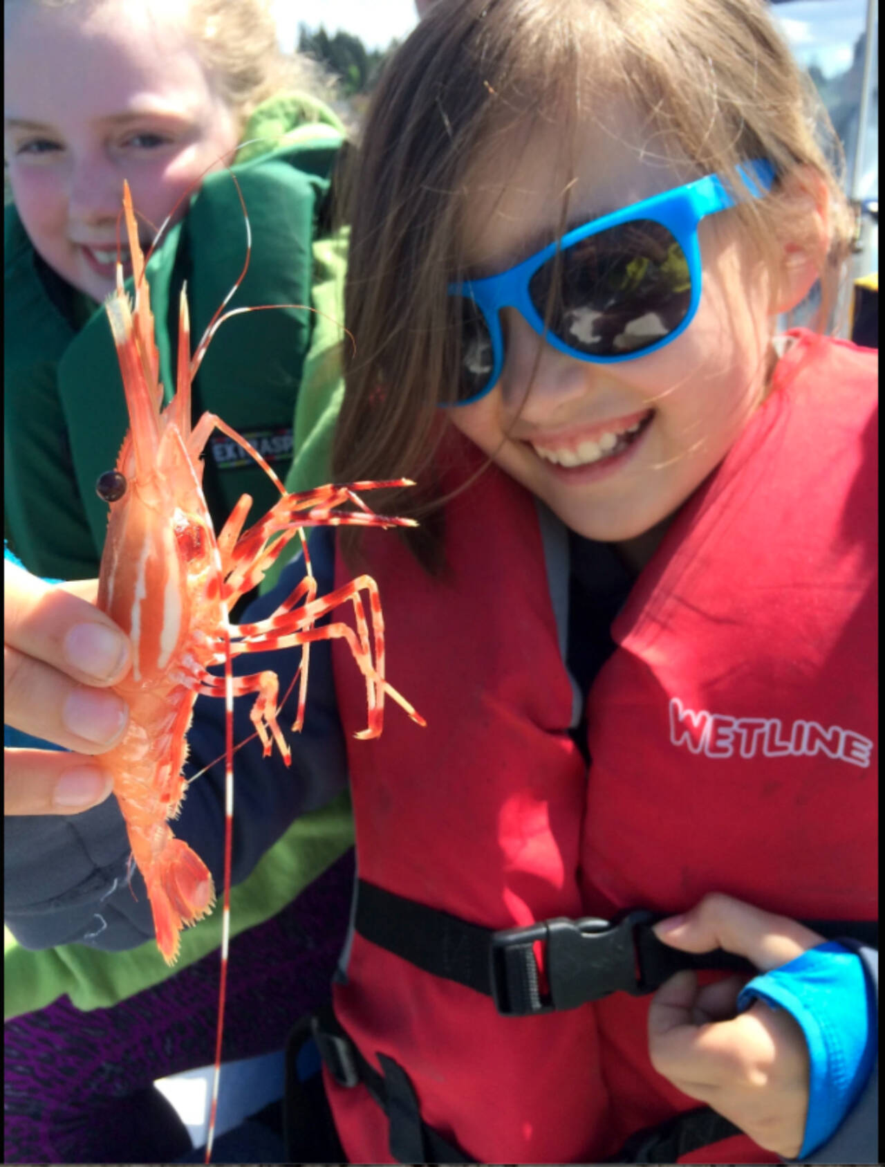 Spot shrimp seasons are open or opening up soon in various marine areas around the Olympic Peninsula. (Chuck Ridley/WDFW)