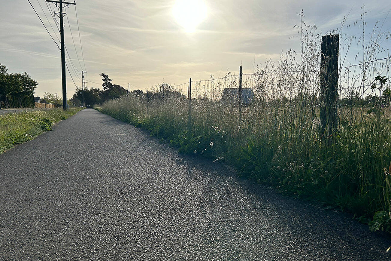 Sequim city council members approved a $2.45 million purchase of 16.52 acres off West Hendrickson Road to be used for a future park. It remains closed to the public as it’s being leased for agricultural use until plans and funding can be put in place for the future park. (Matthew Nash/Olympic Peninsula News Group)