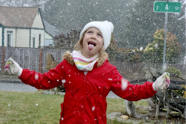Lavender Cowder, 7, in her front yard on A street in west Port Angeles, tries to taste a snowflake during a brief snow shower Sunday. (Dave Logan/for Peninsula Daily News)