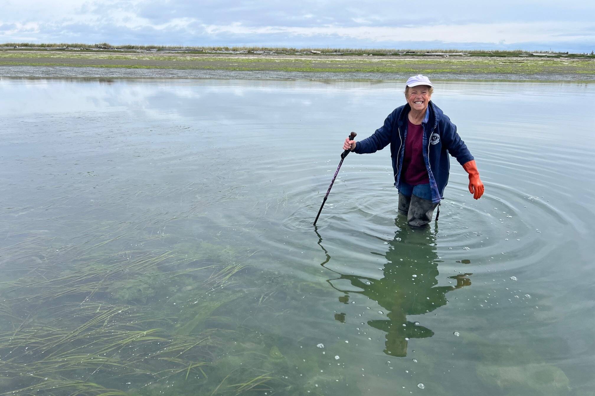 A volunteer helps at the Dungeness National Wildlife Refuge detect and trap European green crab. The refuge seeks more volunteers for various shifts from April to September or October by emailing Volunteer Coordinator Leshell Michaluk-Bergan at leshell@dungenessrivercenter.org. (Jamestown S’Klallam Tribe)