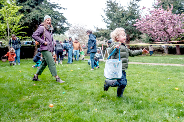 This excited toddler is focused on his next prize and misses the ones right in front of him during the 95th annual Port Townsend Elks Club Easter Egg Hunt at Chetzemoka Park on Sunday. Volunteers hid more than 1,500 plastic eggs around the park with some redeemable for prizes. (Steve Mullensky/for Peninsula Daily News)