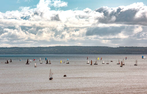 Some of the 90 sailboats in the annual 2025 Race to the Strait, from Shilshole to Port Townsend, depart Sunday on the homeward leg of the two-day race. The racers come to Port Townsend to spend the night before leaving on a downwind run home. (Steve Mullensky/for Peninsula Daily News)