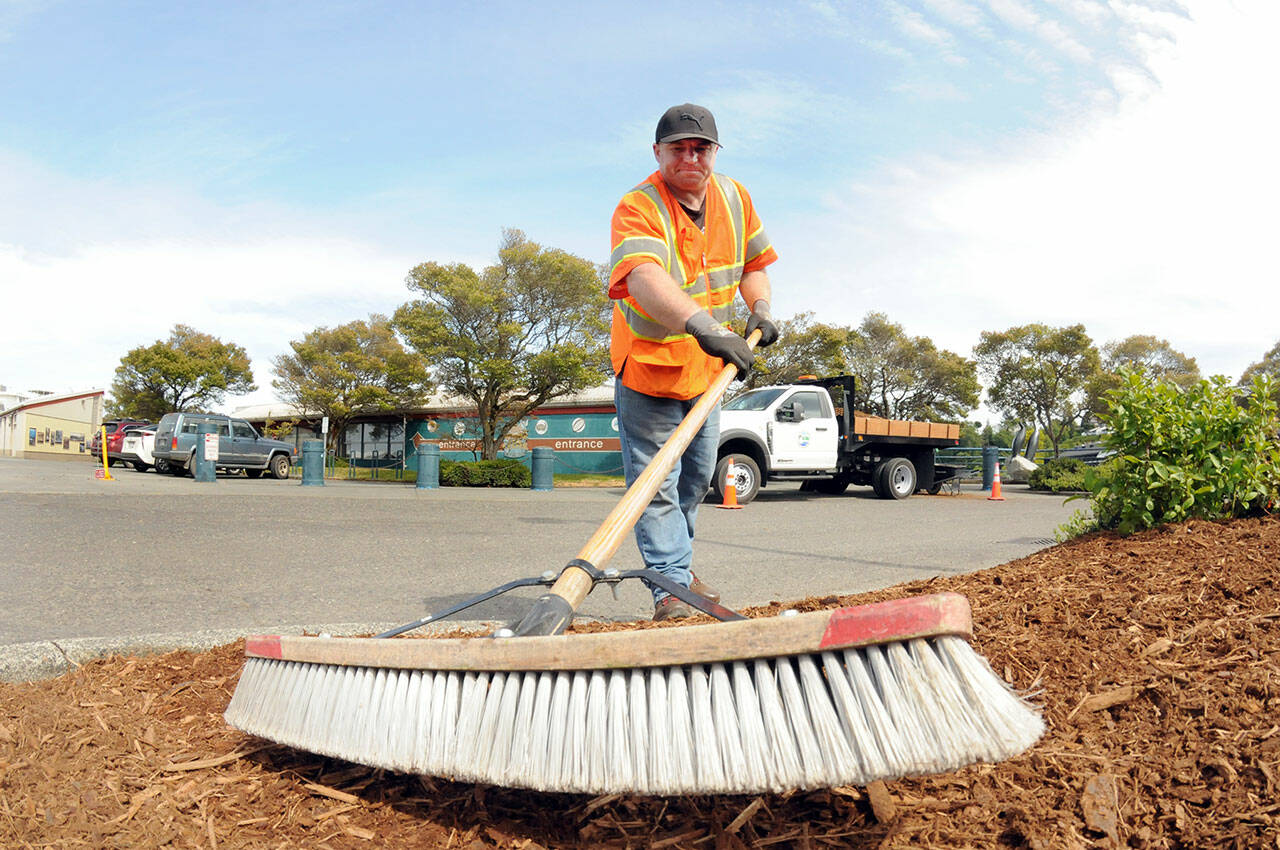 Chad Dobbs, a seasonal worker with the Port Angeles Parks and Recreation Department, smooths out a bed of wood chips on a traffic island on Tuesday in the parking lot at Port Angeles City Pier. Dobbs said the shredded wood adds a decorative touch for tourists and pier visitors. (Keith Thorpe/Peninsula Daily News)
