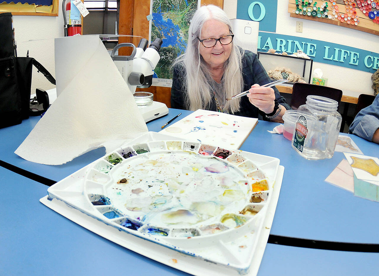 Barbara Westrem of Sequim paints her impressions of microscopic marine creatures during an adult drawing class on Wednesday at Feiro Marine Life Center in Port Angeles. The class, “Through the Looking Glass!,” gives participants a chance to work with professional artists to create works based upon what they observe. More information can be found at https://feiromarinelifecenter.org/through-the-looking-glass-adult-drawing-class-with-microscopes/. (KEITH THORPE/PENINSULA DAILY NEWS)