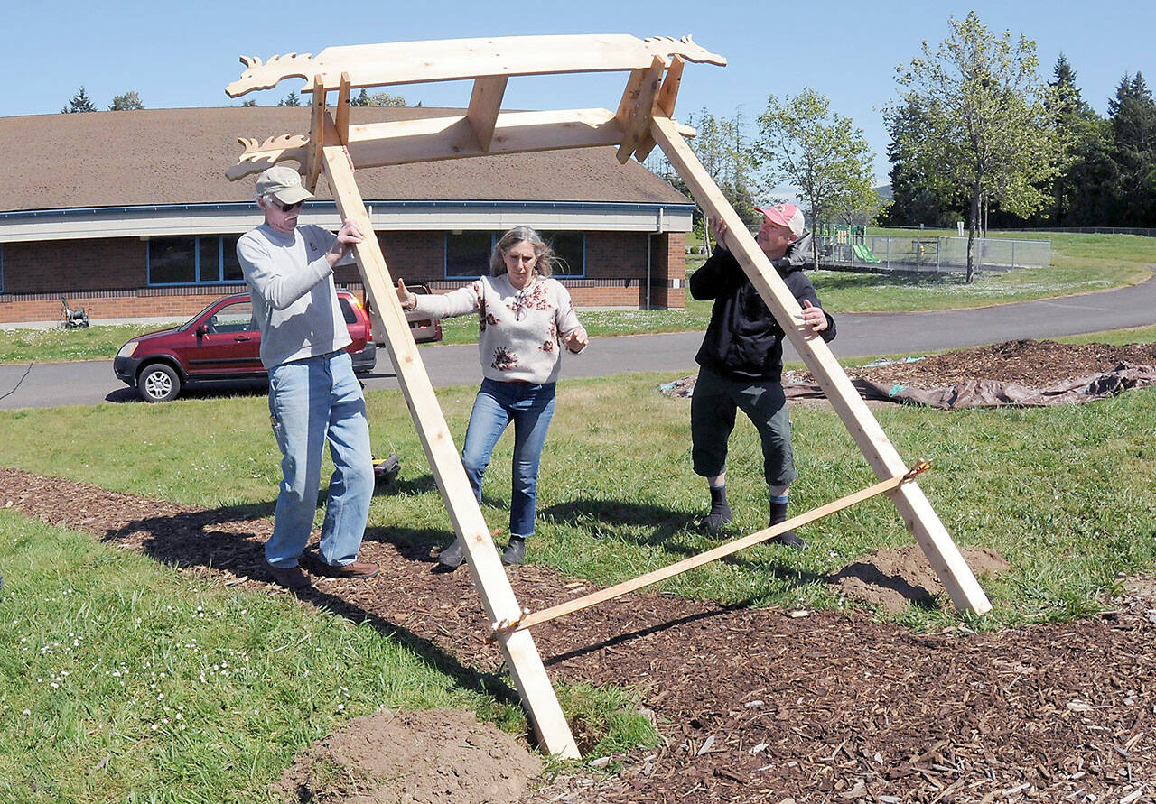 Woodworker Michael Clemens, left, with help from Christine Loewe, executive director of the Port Angeles Fine Arts Center, and fourth-grade teacher Tony Seidl, right, erect a dragon-themed arbor at the student garden at Dry Creek School on Thursday in Port Angeles. (KEITH THORPE/PENINSULA DAILY NEWS)