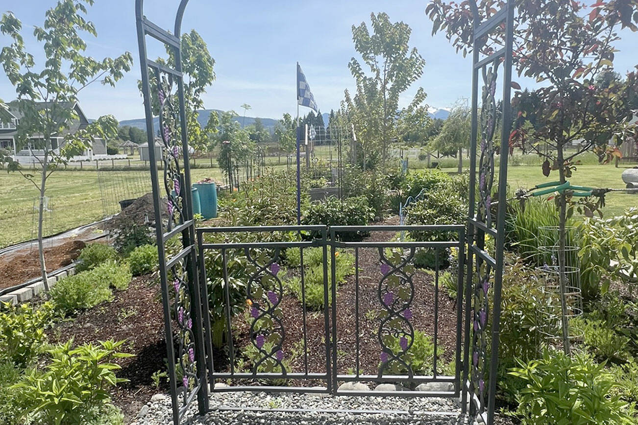 The One Horse Ranch Garden will be part of the Clallam County Master Gardeners’ 2025 Petals and Pathways tour on June 28. (Master Gardeners of Clallam County)
