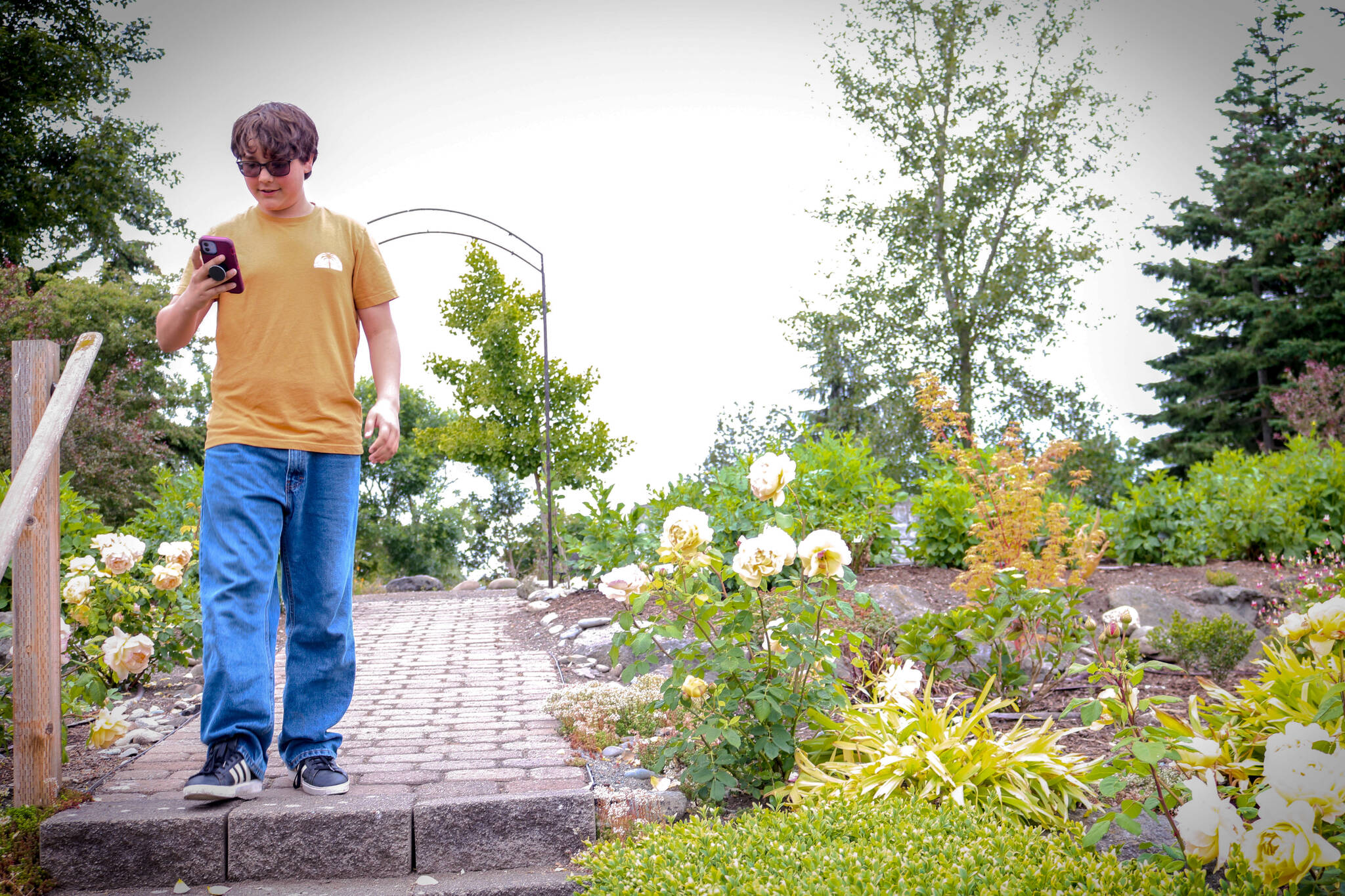 Pierce Andersen explores the Sequim Botanical Garden with Sequim’s new “Agents of Discovery” app via a launch party in the Water Reuse Demonstration Site. Once downloaded, the game can be used without Wi-Fi or cellular data. (City of Sequim)