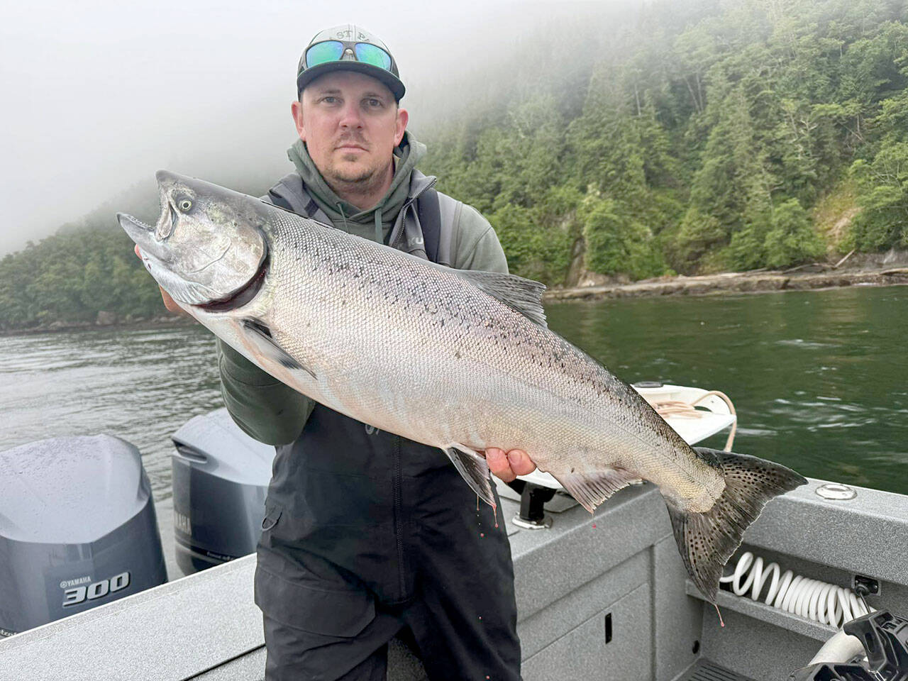 Enumclaw's Ryan Voight caught this large hatchery chinook while fishing out of Van Riper's Resort in Sekiu.