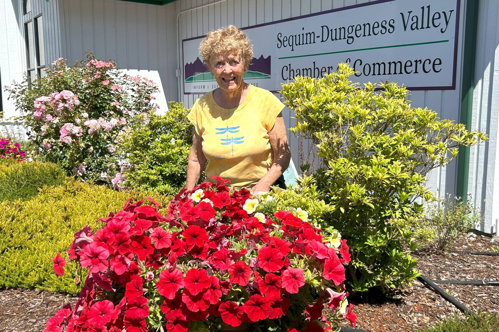 Sequim volunteer Emily Westcott has led the flower basket program along Washington Street since 1996. This year she’s retired to focus on other endeavors, and the city of Sequim and the Sequim School District will continue the partnership. Westcott is still seeking donations for downtown Sequim Christmas decorations through the Sequim-Dungeness Valley Chamber of Commerce. (Matthew Nash/Olympic Peninsula News Group)