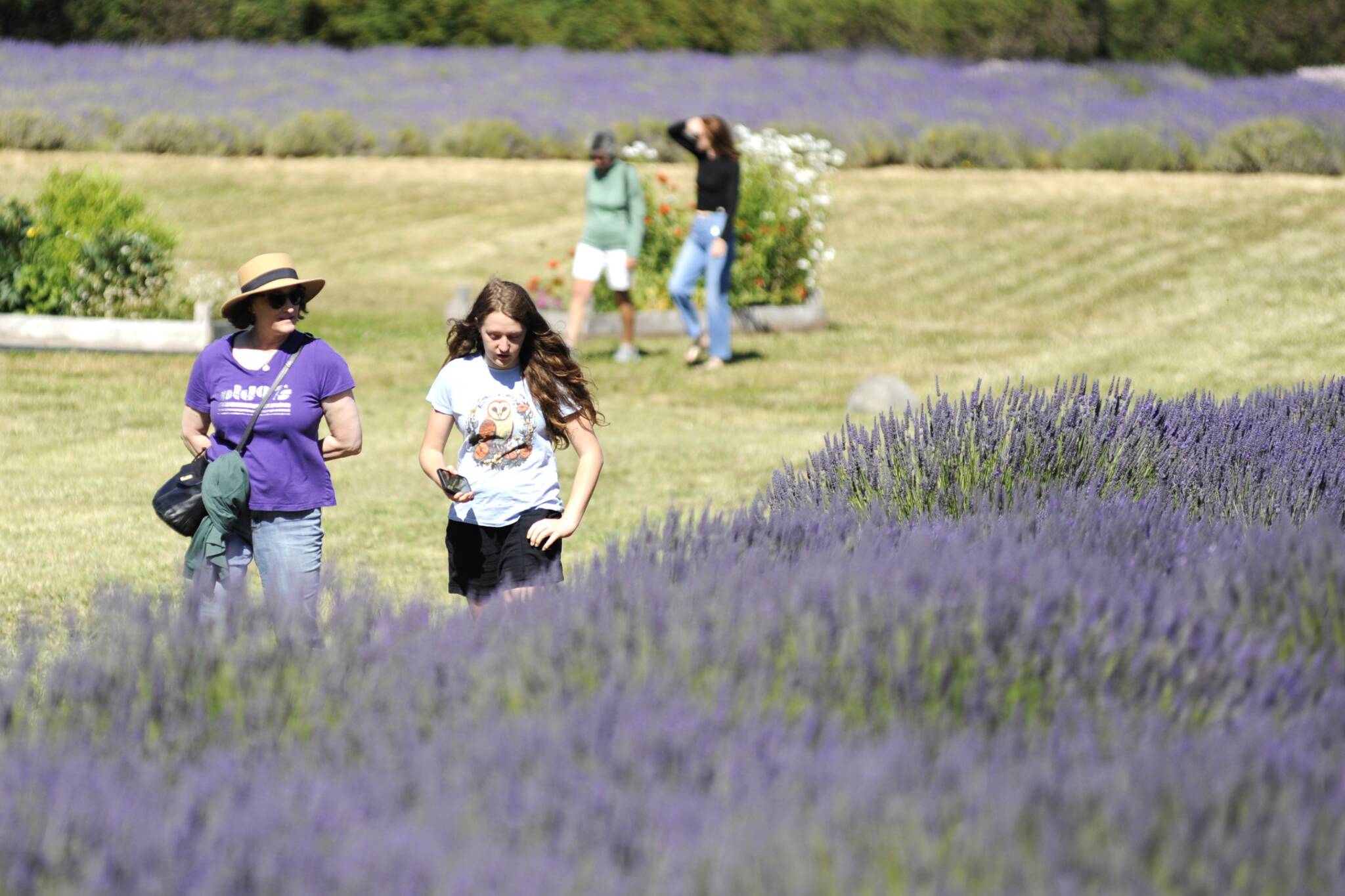 Matthew Nash / Olympic Peninsula News Group
Jennifer Scott of the Hudson Valley region in New York with her niece Calliope Scott of Denver walk the lavender fields of Jardin du Soleil. Scott said she loves lavender. Last week was their first time visiting a lavender farm.