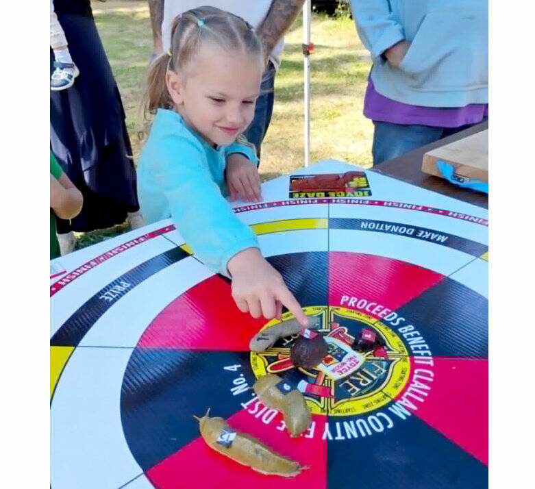 Maddie Rogers, 5, of Maddie’s Mushrooms in Joyce gives last-minute coaching to her slug Garth, which she trained for Saturday’s annual Extreme Slug Racing event. (Shannon Turner)