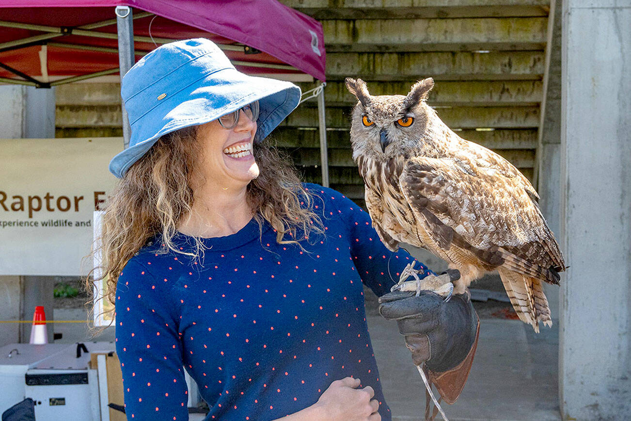 Abby Dugle of Sebastopol, Calif., holds Marvin, a Eurasian eagle owl, during a Raptor Experience at the Jefferson County Fair on Friday. Dugle paid $50 for the experience of holding the raptor that is used as a stand-in for great horned owls due to their resemblance. Dugle described the experience as “wonderful and exciting.” The Raptor Experience will be showing other raptors today and Sunday during the fair. (Steve Mullensky/for Peninsula Daily News)