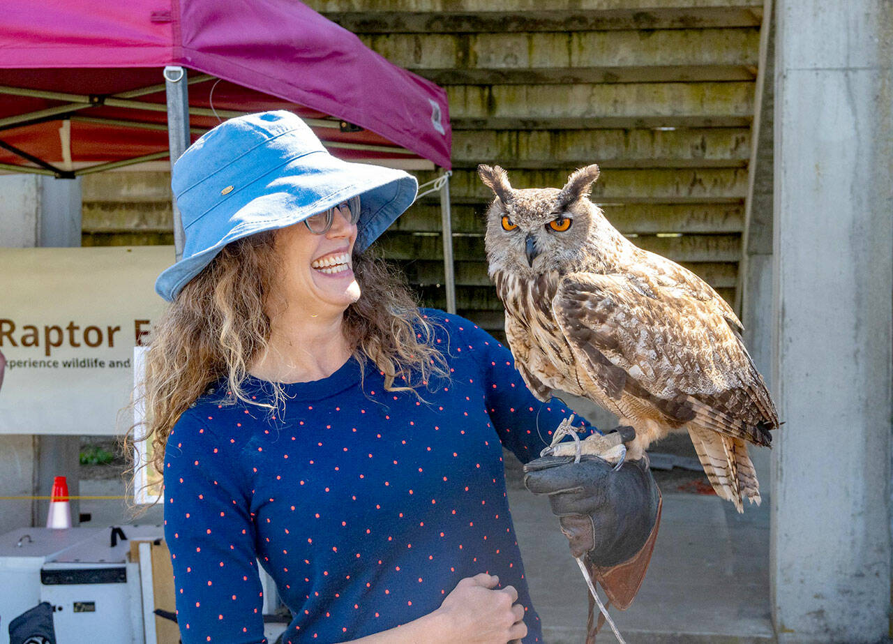 Abby Dugle of Sebastopol, Calif., holds Marvin, a Eurasian eagle owl, during a Raptor Experience at the Jefferson County Fair on Friday. Dugle paid $50 for the experience of holding the raptor that is used as a stand-in for great horned owls due to their resemblance. Dugle described the experience as “wonderful and exciting.” The Raptor Experience will be showing other raptors today and Sunday during the fair. (Steve Mullensky/for Peninsula Daily News)