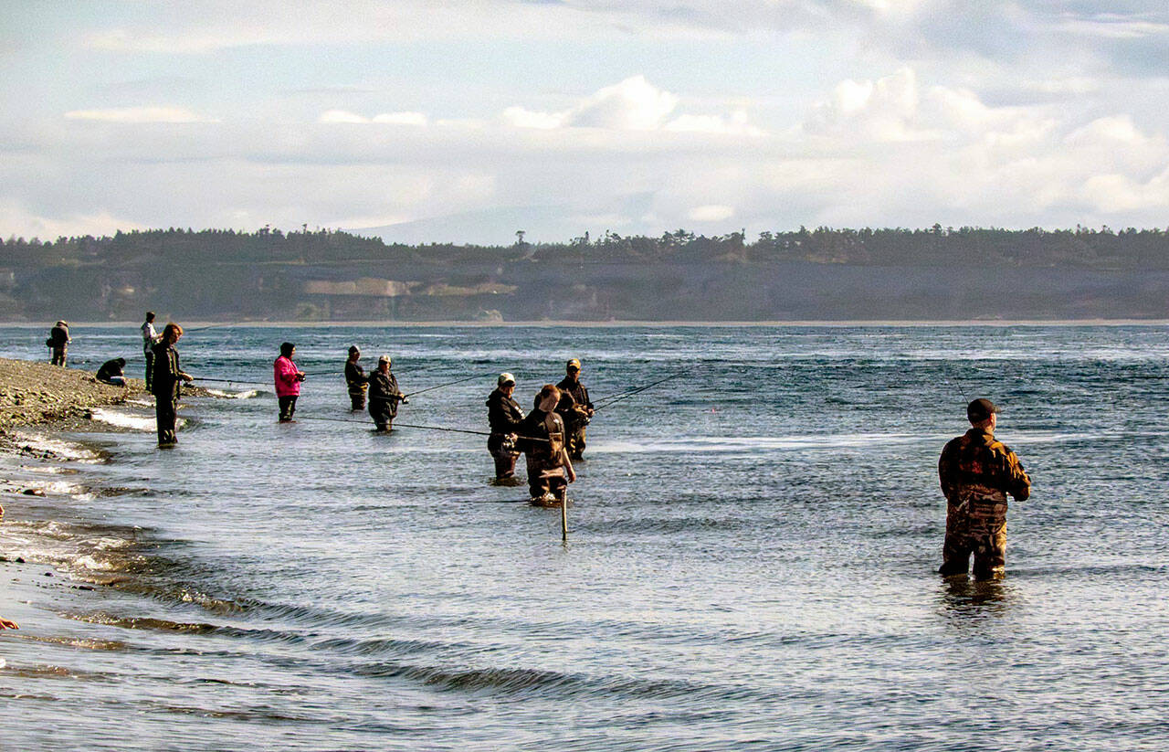 The pink salmon were running close enough to shore to attract at least dozen anglers to the beach at Fort Worden State Park in Port Townsend on Friday. (Steve Mullensky/for Peninsula Daily News)