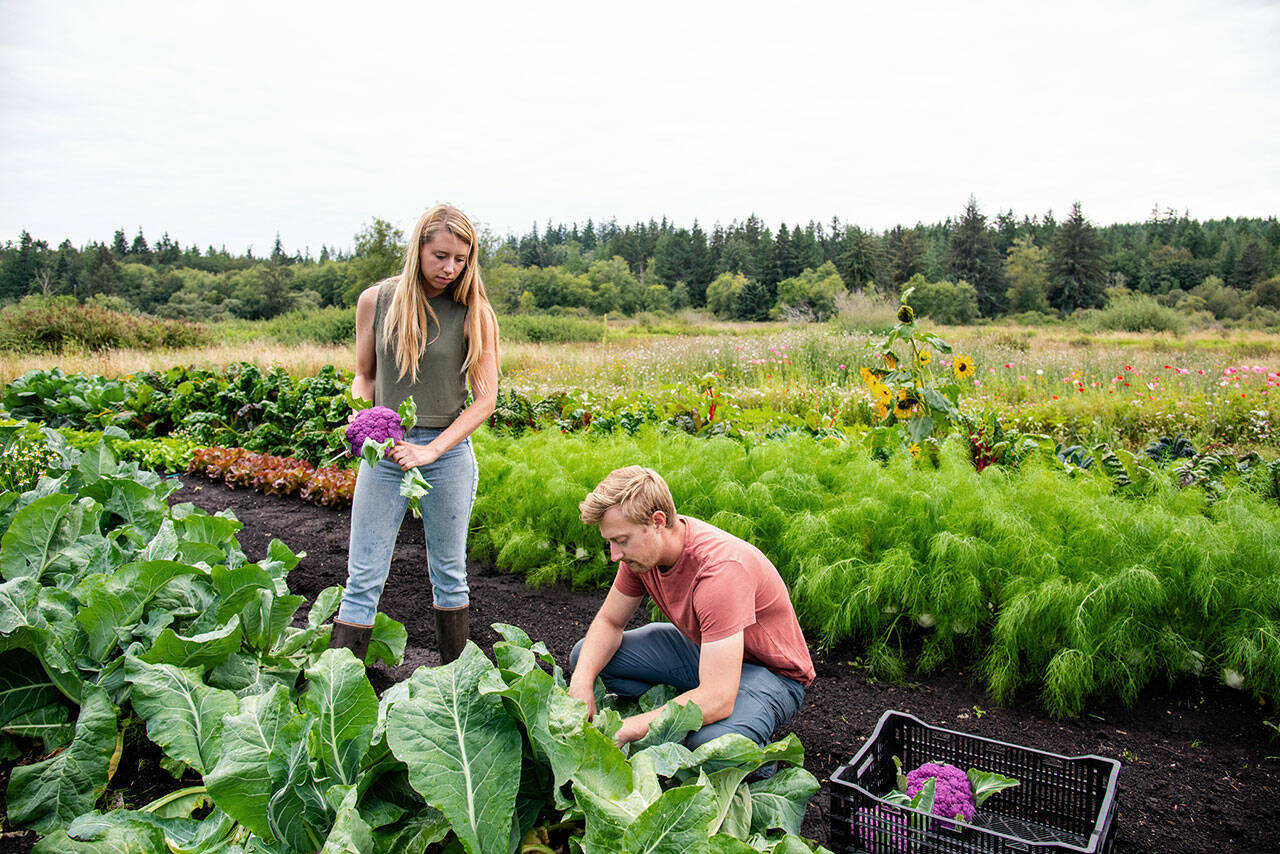 Siblings Grace and Ben Thompson own Kodama Farm and Food Forest. (Deja View Photography)