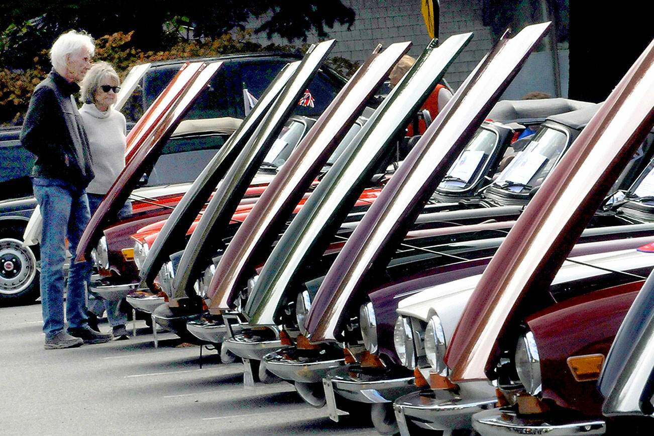 Harvey and Sue Anderson of Minneapolis, Minn., examine a line of classic Triumph automobiles during a Triumph car show on Saturday in the parking lot of the Clallam County Courthouse in Port Angeles. The Tyee Triumph Club hosted the event, which drew about 80 of the cars from around the Pacific Northwest. (Keith Thorpe/Peninsula Daily News)