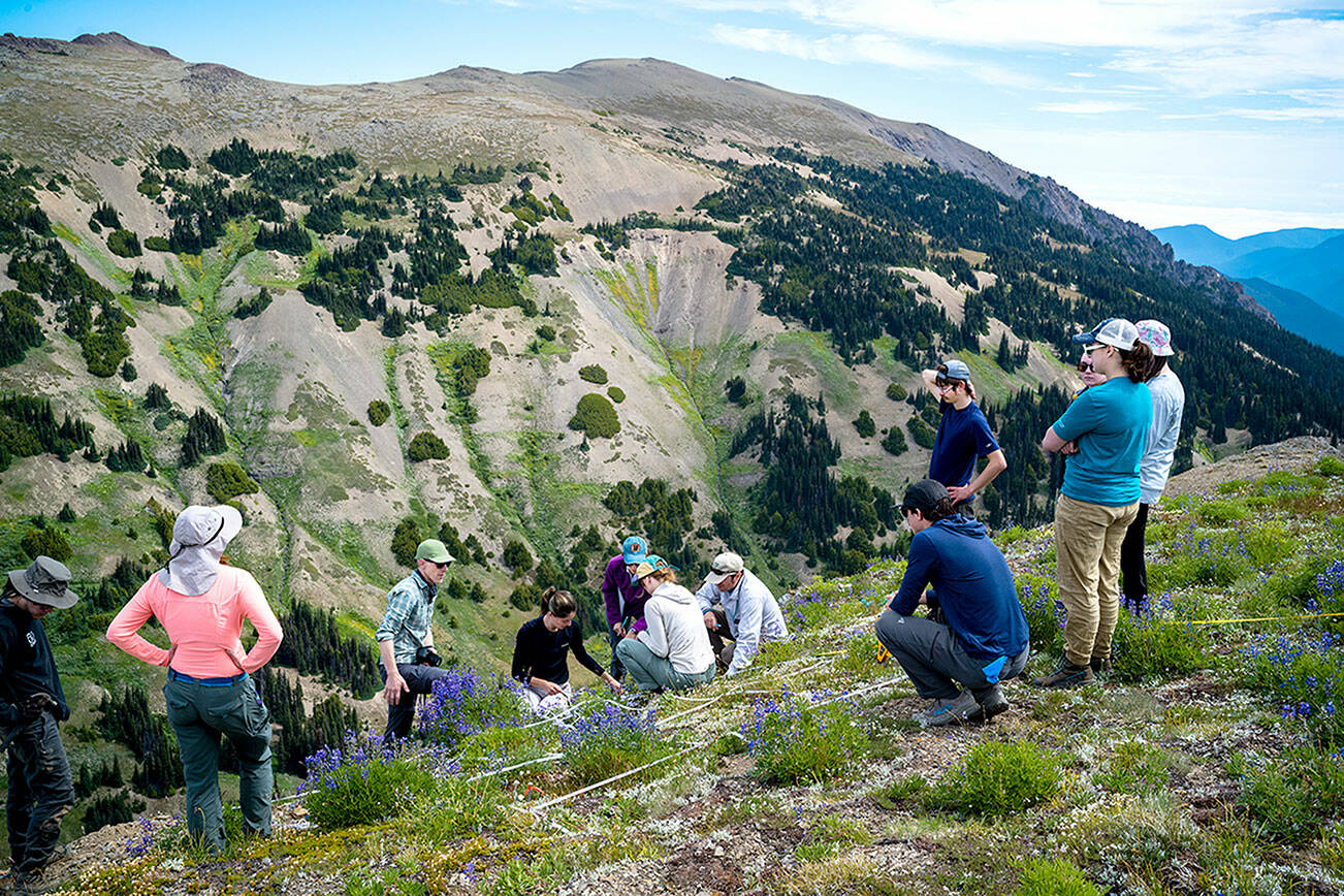 Robbie Hart, third from left, trains the Global Observation Research Initiative in Alpine Environments (GLORIA) team students on how to perform the botanical research in the grid on the first day of the experiment. Elk Mountain is in the background. (Eric DeChaine/Western Washington University)