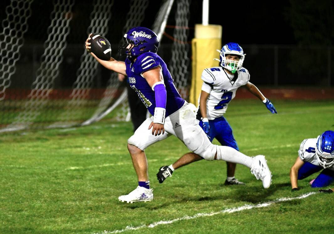Sequim’s Zeke Schmadeke makes a touchdown catch against Elma Friday night in Sequim during the Wolves’ 49-30 victory. (Jacques Star/Olympic Peninsula News Group)