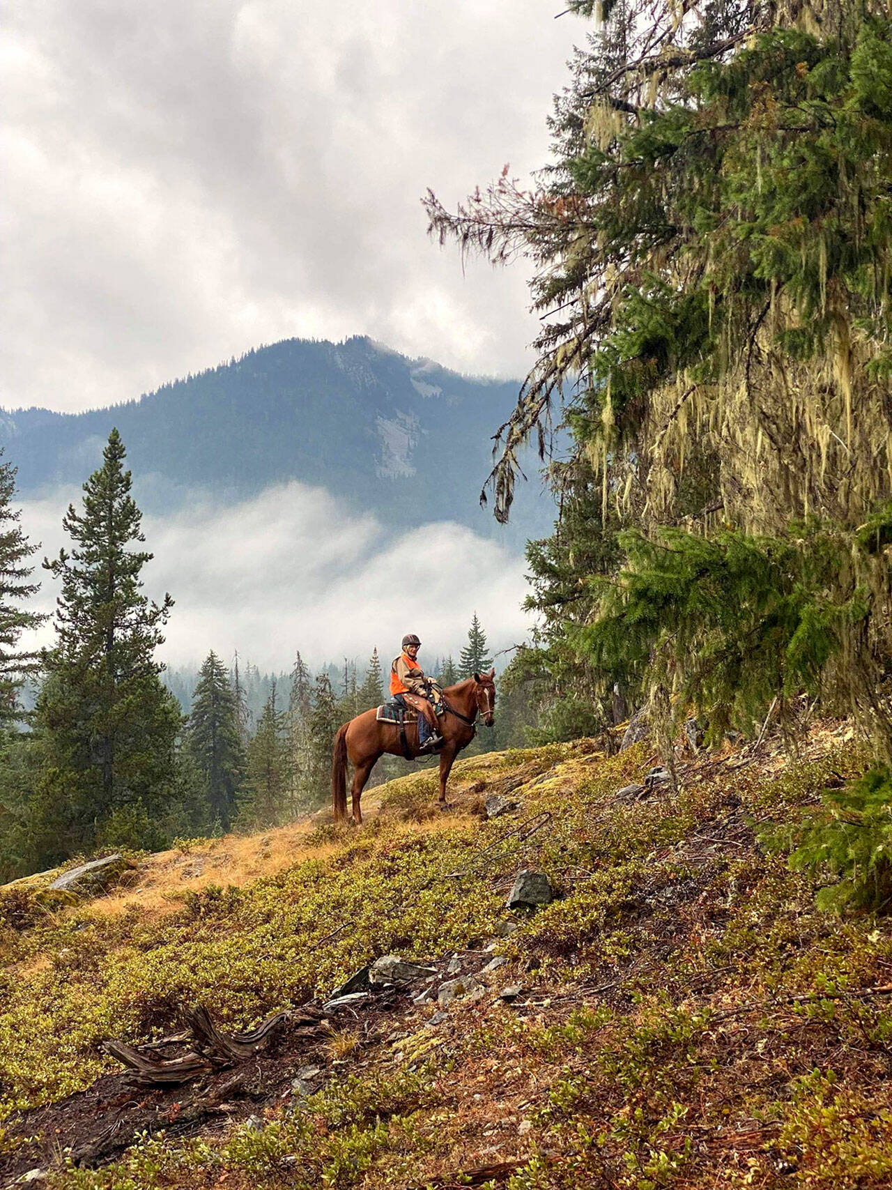 Submitted photo
It’s hunting season. To avoid getting accidently mistaken for big game follow Judy Dupree’s example of donning a bright, fluorescent orange or pink vest to alert hunters you’re in the area.